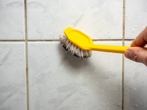 Best Toxic Mold Removal  in Unalaska, AK